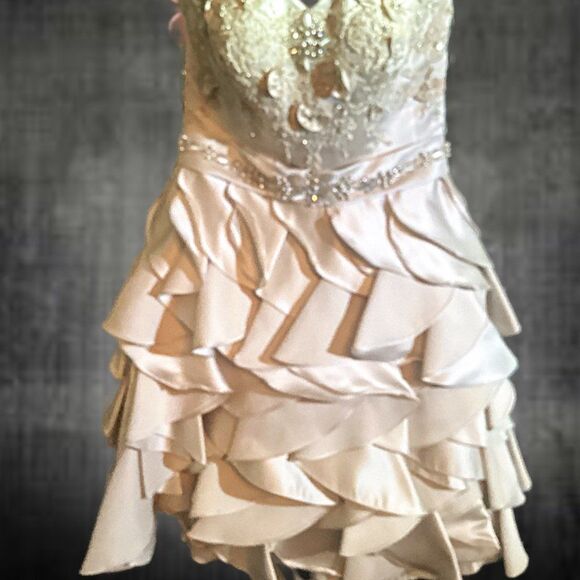 90% OFF Brand New   . Wedding Dress	coco anais	AG.23	526	Size	8/Tag si - Picture 3 of 9